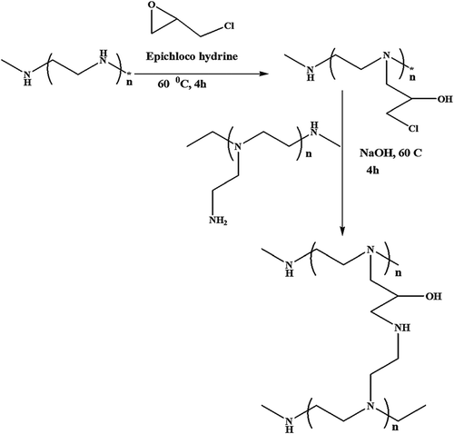 Figure 3. Schematic of BPEI copolymers preparation [Citation20].