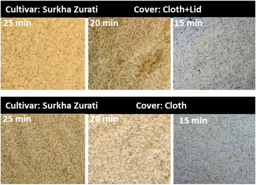 Figure 4. The appearance of parboiled rice grain of Surkha Zurati under different steaming durations and covering methods.