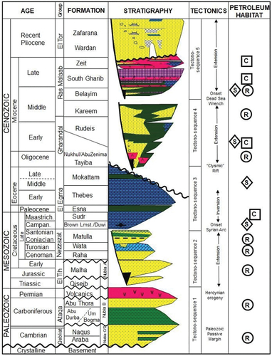 Figure 3. Tectonostratigraphic section for the gulf of Suez (Peijs et al. Citation2012).