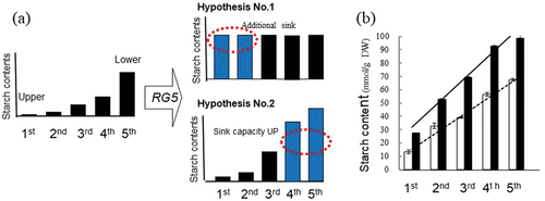 Figure 1. (a) Two hypothetical models for high starch content by RG5. Two hypotheses were consideredregarding the function of RG5 (1) the upper part might be altered to be sink, and (b) the sink capacity of thelower part might be improved. (a) and the manner of accumulated starch in Koshihikari (white box) andSLRG5 (black box) (b). Third leaf sheath was separated into 5 parts and used. The contents of starch weresignificant different in all parts between them (p <0.001).