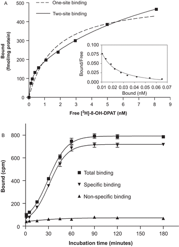 Figure 1.  (A) Saturation curve for the 5-hydroxytryptamine1A receptor with [3H]8-OH-DPAT as the radioligand. Receptor membrane (35 μg protein/well) was incubated with increasing concentrations of [3H]8-OH-DPAT (0–10 nM) at 25°C for 90 min. The binding was fitted to the two-site binding model. The Rosenthal plot is shown as the inset of the saturation binding curve. (B) Time course of association of [3H]8-OH-DPAT to the 5-hydroxytryptamine1A receptor. Receptor membrane (35 μg protein/well) was incubated with [3H]8-OH-DPAT (0.2 nM) at 25°C for different time periods (0–180 min). Each data point is expressed as mean ± SD (n = 3).