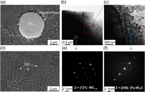 Figure 25. SEM and TEM images depict the microstructure (a–c) in the direct vicinity of the WC1-x phase and (d) within the iron-based matrix. (e) and (f) show the selected area electron diffraction (SAED) of the regions indicated in (b) and (c), respectively. Reprinted with permission from [Citation53].