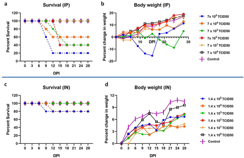 Figure 2. Survival and body weight changes in hamsters after NiV infection. a) Percent survival and b) body weight change in hamsters post intraperitoneal infection. c) Percent survival and d) body weight change in hamsters post intranasal infection.
