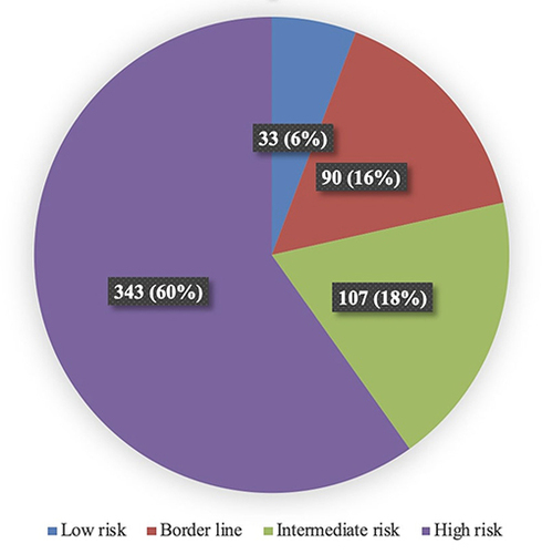 Figure 2 Proportions of risk assessment of our diabetic cohort.