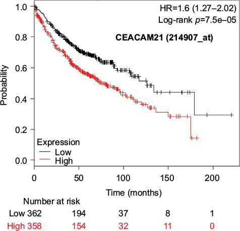 Figure 9 Kaplan–Meier survival curves of the higher and lower expression groups divided by the median value of CEACAM21 (Jetset probe, 214907_at) in patients with adenocarcinoma.