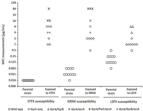 Figure 5 The MIC changes of Escherichia coli isolates and their resistance mechanisms in the exposure to sitafloxacin, garenoxacin, or lascufloxacin The plotted data shows sitafloxacin, garenoxacin, and lascufloxacin MIC measurement in wildtype and fluoroquinolone-exposed strains. Different icons are used to indicate the corresponding resistance mechanisms.