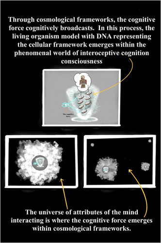 Figure A8. The framework within a framework approach of the FoK-FIP theory.