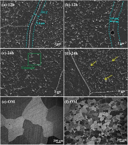 Figure 3. SEM images of the designed alloys at 1073 K aging for 12 and 24 h. (a, c, e): S1-0.1Zr, (b, d, f): S2-0.3Zr.