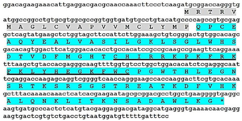 Figure 1 Nucleotide and deduced amino acid sequence of the ALF isoform from the hemocyte mRNA transcripts of Charybdis feriatus-ALF1 (GenBank ID: KP688577).