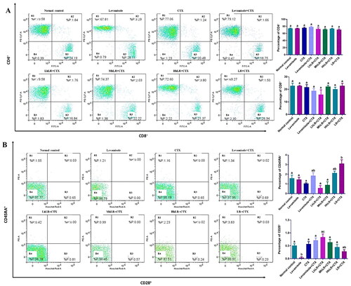 Figure 5. Effects of hLR and LR on PBMC T lymphocyte subsets in CTX-treated rats. A) Percentage of CD4+ (R1 region) and CD8+ (R3 region) T cell population. B) Percentage of CD45RA+ (R1 region) and CD28+ (R3 region) T cell population. Data are expressed as mean ± SEM (n = 4). Different letters (a–c) above the bars indicate significant differences (p < 0.05) between groups.
