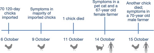 Figure 1. Schematic representation of the timeline of H9N2 AIV infections among chickens, a pet cat, and two humans at a backyard farm in Guangxi Province, October 2018.
