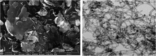 Figure 2. HRTEM pictograph of (a) Graphene nanoplatelets and (b) MWCNTs.