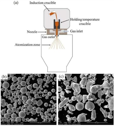 Figure 2. (a) Working principle of gas atomization for powder preparation; (b) morphologies of 316L stainless steel powder particles fabricated by gas atomization and (c) water atomization. Reproduced with permission from [Citation67,Citation68].