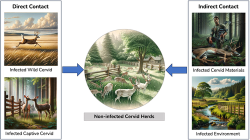 Figure 3. Overview of chronic wasting disease (CWD) transmission routes to uninfected captive cervid herds.