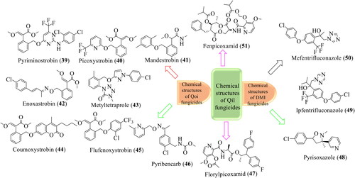 Figure 13. Chemical structures of Qoi, Qil, and DMI fungicides (Cernuschi et al., Citation2023; Stenzel & Vors, Citation2019; Umetsu & Shirai, Citation2020).