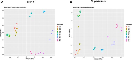 Figure 1. (a) Principal component analysis was performed with transcriptomic profiles of uninfected (C1-C5) and infected (T1–T5) THP-1 macrophages harvested 1 h (T1), 2 h (T2), 4 h (T3), 8 h (T4), and 12 h (T5) pi. (b) Principal component analysis was performed with transcriptomic profiles of control B. pertussis cells incubated in RPMI medium (C1–C5) and intracellular B. pertussis cells (T1–T5) harvested 1 h (T1), 2 h (T2), 4 h (T3), 8 h (T4), and 12 h (T5) pi. Each dot in both panels represents an independent biological replicate.