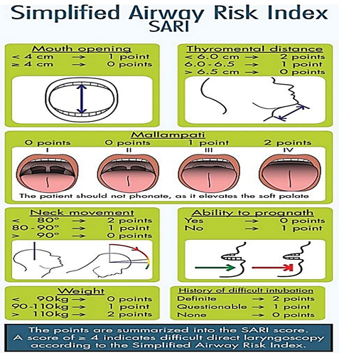 Figure 1. Simplified airway risk index (SARI) score.Citation(11)