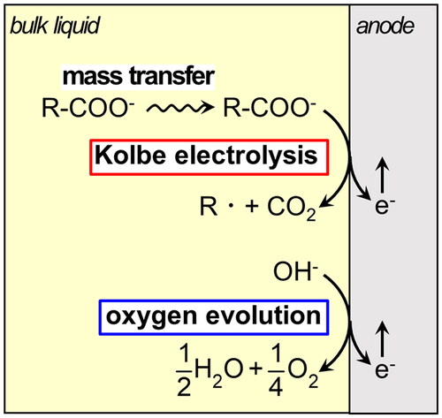 Figure 8. Schematic diagram of electrolysis mechanism on abode.