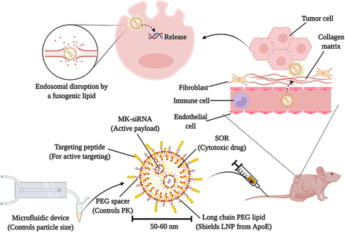Figure 4 A graphical summary of a comprehensive strategy to achieve efficient drug and gene delivery to HCC using microfluidics and targeted lipid nanoparticles technologies. The figure is reprinted from Adv. Drug Delivery Rev, Volume 188, Nakamura T, Sato Y, Yamada Y, et al. Extrahepatic targeting of lipid nanoparticles in vivo with intracellular targeting for future nanomedicines. 114417,Citation156 with permission from Elsevier (Copyright 2022, Elsevier).