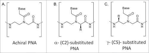 Figure 1. Structure of achiral (A), chiral α-PNA (B), and chiral γ-PNA (C). Frequently, “R” are amino acid side chains, but can also be more complex and unnatural structures. Preferred stereochemistry is shown and is that derived from D-amino acids for α-PNA and L-amino acids for γ-PNA. Absolute stereochemistry can change according to the nature of atoms in R (e.g. for γ-PNA derived from L-alanine is S, whereas for that derived from L-serine is R).