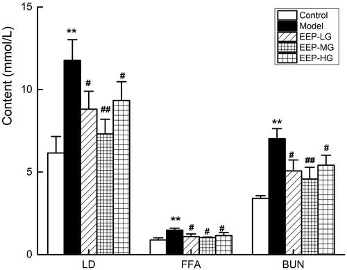 Figure 6. Effects of EEP on serum LD, FFA, BUN in chronic fatigued rats. Data are shown as means ± SD (n = 8). **p < 0.01 vs. control group alone. #p < 0.05, ##p < 0.01 vs. the model group.