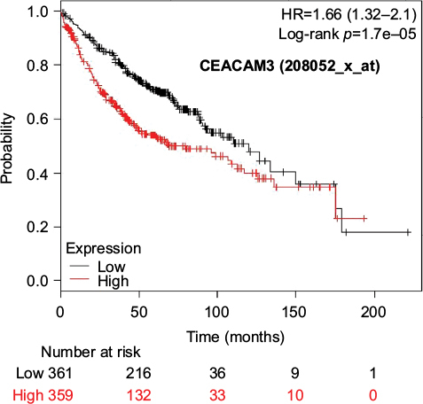 Figure 2 Kaplan–Meier survival curves of the higher and lower expression groups divided by the median value of CEACAM3 (probe, 208052_x_at) in patients with adenocarcinoma.