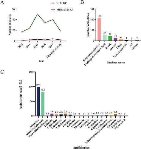 Figure 1 Clinical distribution and antimicrobial susceptibility of 184 ST23 Kp isolates.