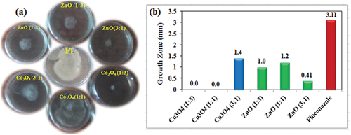 Figure 10. The growth zone (mm) of Alternaria solani under ZnO and Co3O4 NPs treatment (a) and graph (b).