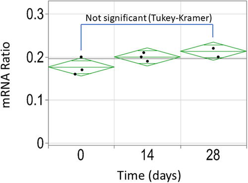 Figure 8. Stability assessment of the splice event in the stable pool population expressing cTNT-I4(0Y) in Intron 2 and cTNT-I4 in Intron 3 using ddPCR. No statistically significant difference was identified between the three timepoints.