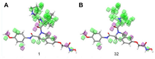 Figure 7 Hydrophobic interaction visualization of a three-dimensional QSAR model on compound 1 and compound 32.