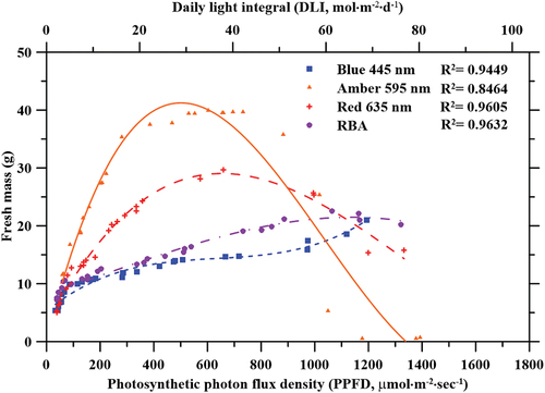 Figure 5. Effects of photosynthetic photon flux density (PPFD) on lettuce plant fresh mass (FM) yield when grown under red (635 nm), blue (445 nm), amber (595 nm), and combined red-blue-amber (RBA) LEDs. The daily light integral (DLI) was calculated based on the 16-h photoperiod used in this study.