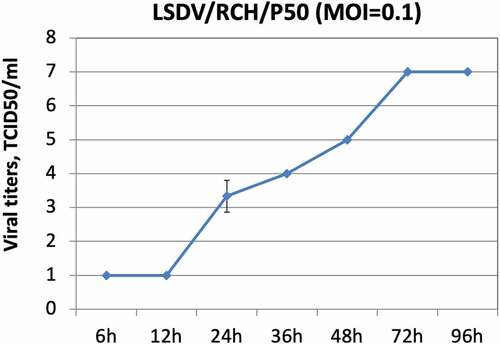 Figure 1. Growth characteristics of LSDV/RCH/P50. Vero cells, in triplicates, were infected with LSDV/RCH/P50 at MOI of 0.1 for 2 h, followed by washing with PBS and addition of fresh DMEM. Supernatant was collected from the infected cells at indicated time points and quantified by determination of TCID50 in Vero cells. Values are means ± SD and representative of the result of at least 3 independent experiments.