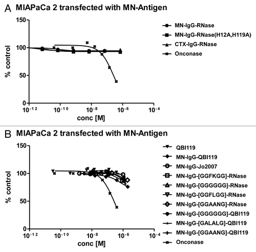 Figure 7. Growth inhibition of MN+ overexpressing tumor cell lines. MN+ overexpressing MIAPaCa 2 cells were incubated (A) with MN-IgG-RNase containing catalytic active human pancreatic RNase. MN-IgG-RNase(H12A, H119A) with a catalytic inactive RNase, and CTX-IgG-RNase, were used as negative controls, whereas Onconase was used as non-targeted positive control. B) Additionally, MN+ overexpressing MIAPaCa 2 were also incubated with (B) MN-IgG based immunoRNase constructs fused with RI evasive human pancreatic RNase variants (Jo2007, QBI-119) as well as MN-IgG-RNase and MN-IgG-QBI119 constructs containing other linker sequences (GGFKGG, GGGGGG, GGFLGG, GGAANG, and GALALAG), which are putatively cleavable in endosomes. Free QBI119 and Onconase were also tested.