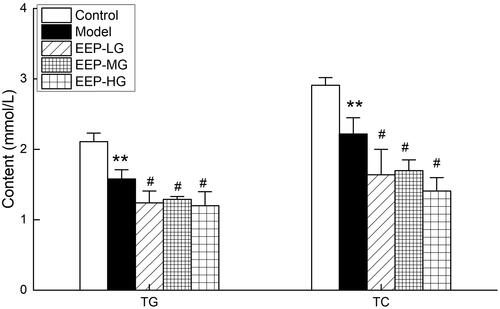 Figure 5. Effects of EEP on blood TG and TC in chronic fatigued rats. Data are shown as means ± SD (n = 8). **p < 0.01 vs. control group alone. #p < 0.05 vs. the model group.