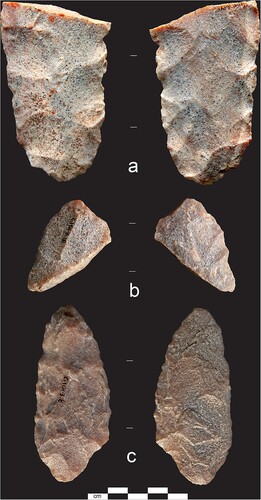 Figure 8 Both surfaces of: (a) biface fragment GlQl-3:14; (b) biface tip GlQl-3:18; and (c), shouldered biface GlQl-3:8. Photographed courtesy of the Royal Alberta Museum.