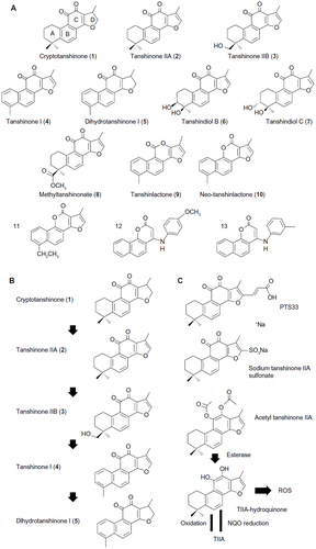 Figure 1 Structure of Danshen tanshinones, their likely botanical synthesis pathway, and select synthetic derivatives.