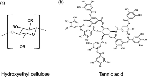 Figure 1. Molecular structure of (a) hydroxyethyl cellulose and (b) tannic acid.