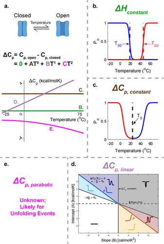 Figure 1. Inclusion of ΔCp into thermodynamics of thermo-TRPs temperature gating. a. (top) a cartoon depiction of thermoTRP temperature gating equilibrium. (middle) the generalized equation relating the heat capacity (Cp) of the open and closed states to the second order polynomial of ΔCp(T). (bottom) a representation of some potential ΔCp(T) relationships. Green is where ΔCp is 0 and ΔH0 is temperature- independent. Brown represents a constant non-zero ΔCp (ΔCp,constant). Purple shows a ΔCp that is linearly dependent on temperature (ΔCp,linear). Magenta shows a ΔCp that is parabolically dependent on temperature (ΔCp,parabolic). b. ΔCp is 0 and ΔH0 is temperature-independent. Two temperature activation curves shown are simulated based on the ΔH0 and ΔS0 of TRPV1 (ΔH0 = 150 kcal/mol, ΔS0 = 470 cal/molK [Citation2]) and TRPM8 (ΔH0=-112 kcal/mol and ΔS0=-384 cal/molK [Citation3];). Note the single temperature-sensitivity per curve. c. ΔCp displayed with constant value. A single temperature activation curve is shown and is based on Clapham and Miller (2011). Note the U-shape leading to dual temperature-sensitivity curves [Citation4]. d. ΔCp linearly dependent on temperature as investigated by our recent publication [Citation1]. All the possible temperature activation curves are overlaid upon a parameter space diagram where the parameters of ΔCp slope (B) and intercept (A) are the Y- and X-axes, respectively. Note that we observe single temperature-sensitivities alongside multiple other types of temperature sensitivities. e. ΔCp is parabolically dependent on temperature. This could be a likely model if unfolding is indeed an integral part of the thermoTRP gating mechanisms.