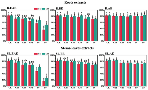 Figure 4. Effect of L. sagitta extracts on seed germination of A. cristatum. a: roots ethyl acetate extract (R.EAE), b: roots n-butanol extract (R.BE), c: roots aqueous extract (R.AE), d: stems-leaves ethyl acetate extract (SL.EAE), e: stems-leaves n-butanol extract (SL.BE), f: stems-leaves aqueous extract (SL.AE). In each graph, different letters indicate significant differences between concentration treatments, p < .05. Concentration units for treatment groups are mg/mL. Error bars indicate standard deviation (SD). (GE) germination energy; (GR) germination rate; (CK) control group.