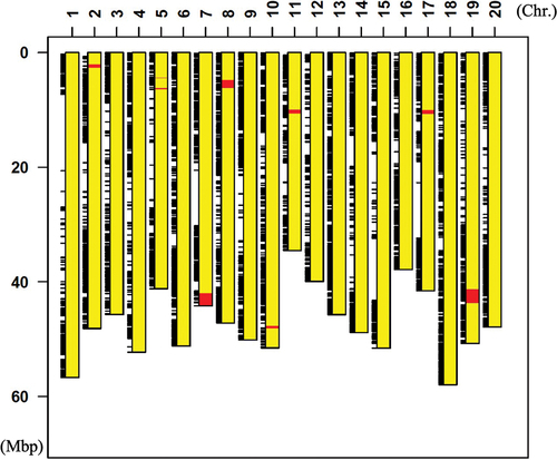 Figure 5. Diagrammatic representation of graphical genotype of Enrei type NIL plant (BC5F5). Yellow boxes indicate chromosome region derived from Fukuyutaka, and red boxes indicate chromosome region derived from Enrei. Black bars indicate SNPs detected between Enrei type NIL and Williams W82.
