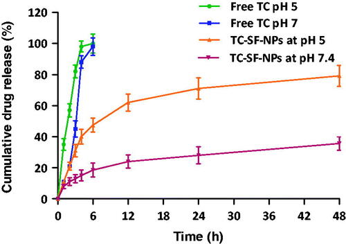 Figure 4. In vitro release study of free TC and TC-loaded SF-NPs at different pH. TC: tamoxifen citrate; TC-SF-NPs: tamoxifen citrate silk fibroin nanoparticles.