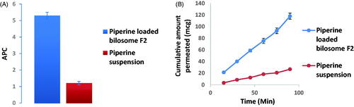 Figure 8. Piperine ex vivo gut permeation study exploiting; (A) Papp ±S.D. of piperine-loaded bilosome (F2) versus piperine suspension and (B) cumulative amount of piperine permeated (mcg) ±SD of piperine-loaded bilosome (F2) versus piperine suspension time profile.