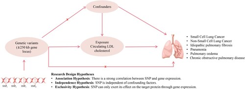 Figure 1. Study Overview and Mendelian Randomization Model. HMGCR, 3-Hydroxy-3-Methyl-Glutaryl-Coenzyme A Reductase; NPC1L1, Niemann-Pick C1-Like 1; PCSK9, Proprotein Convertase Subtilisin/Kexin type 9; LDLR, Low Density Lipoprotein Receptor; CETP, Cholesteryl Ester Transfer Protein; APOB, Apolipoprotein B; MR, Mendelian Randomization.