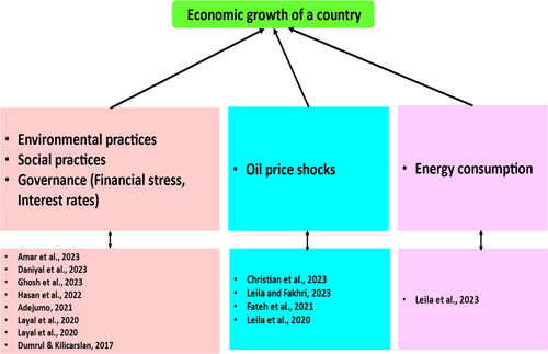 Figure 1. Smart Art Chart for reviews regarding determinants for economic growth of an economy.