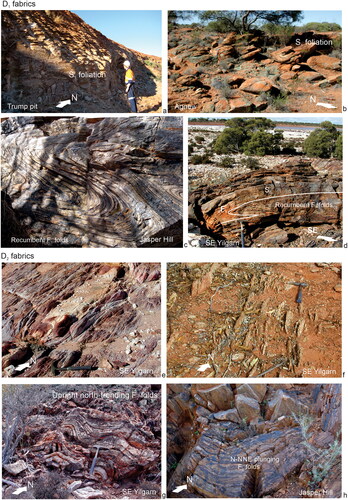 Figure 7. D1 vs D2 structures (localities shown in Figure 6): (a) flat-lying S1 foliation, Trump pit, Leonora; (b) flat-lying S1 foliation close to granite contact, Agnew district; (c) recumbent F1 fold, Jasper Hill, Leonora district; (d) recumbent F1 fold, southeast Yilgarn; (e, f) typical outcrops of upright north-trending S2 foliation, Kalgoorlie district; (g) upright north-plunging F2 folds, southeast Yilgarn; and (h) upright north-plunging F2 folds, Jasper Hill, Leonora district.