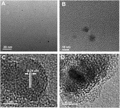 Figure 1. (A, B) Low-resolution TEM images of CQDs showing spherical morphology and dispersed nature; (C) high resolution TEM image of CQDs, showing spherical morphology, lattice fringes and graphitic nature; and (D) Zoom HRTEM image of CQDs showing clear lattice fringes.