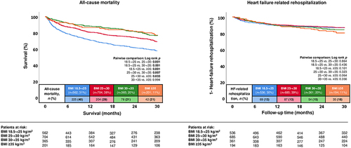 Figure 2 Kaplan-Meier analyses comparing the prognostic impact of BMI on the risk of all-cause mortality (left panel) and hospitalization for worsening HF (right panel) in patients with HFmrEF.