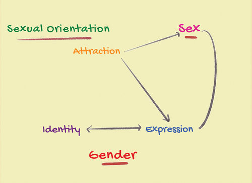 Figure 1. Interrelationship between sex, sexual orientation, and gender.