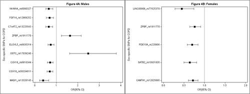 Figure 4. Forest plots showing the direction of effects for the sex-specific SNPs associated with COPD from the sex-stratified analysis. (A) Males. (B) Females. Only significant SNPs after the Bonferroni adjustment were plotted.