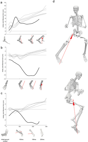 Figure 7. Ankle joint moment arm time curves and ankle joint position at highlighted timepoints in the sagittal (A), frontal (B), and transverse planes (C). The full body skeleton (D) shows the athletes body alignment and GRF at highest ankle excursion (195 ms) from a frontal and lateral perspective.